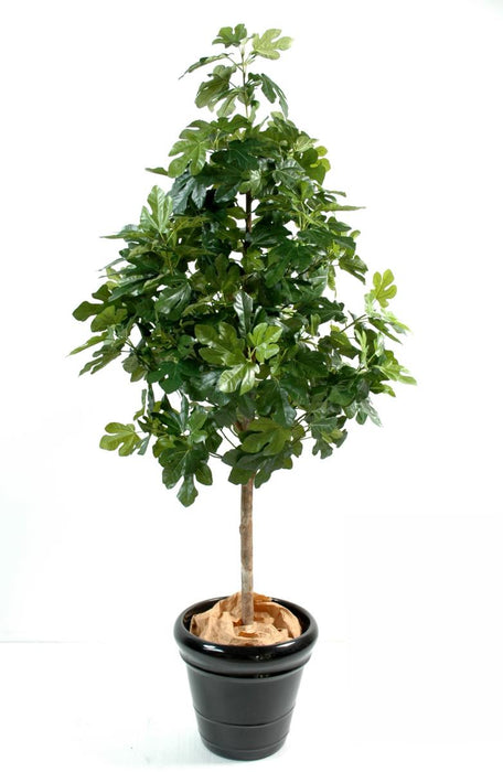 Albero Di Fico Artificiale Con Frutti 170 Cm Per Interni