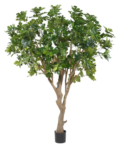 Albero Di Fico Artificiale Con Frutti 260 Cm Pianta Da Interno