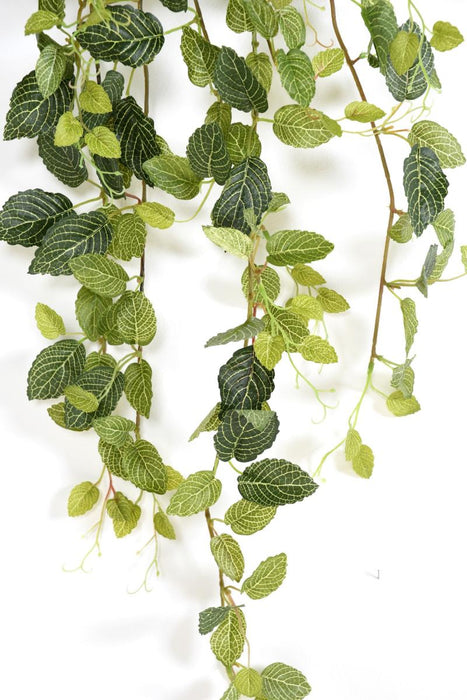 Palo Artificiale Fittonia Per La Decorazione Di Interni