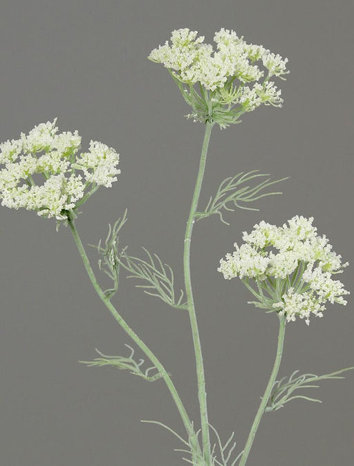 Fiore Di Aneto Artificiale Carota Selvatica 74Cm Crema