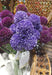 Set Di 3 Fiori Artificiali Allium Lavanda Da 46 Cm