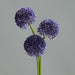 Set Di 3 Fiori Artificiali Allium Lavanda Da 46 Cm
