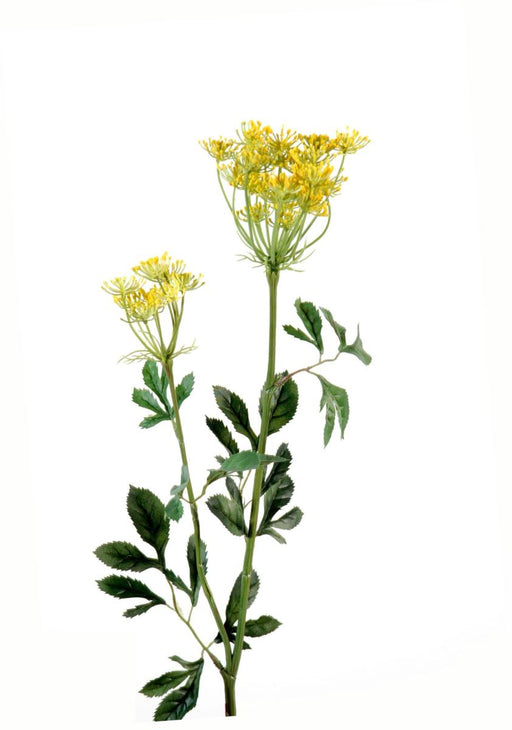 Fiore Artificiale Ammi Majus Giallo 75Cm