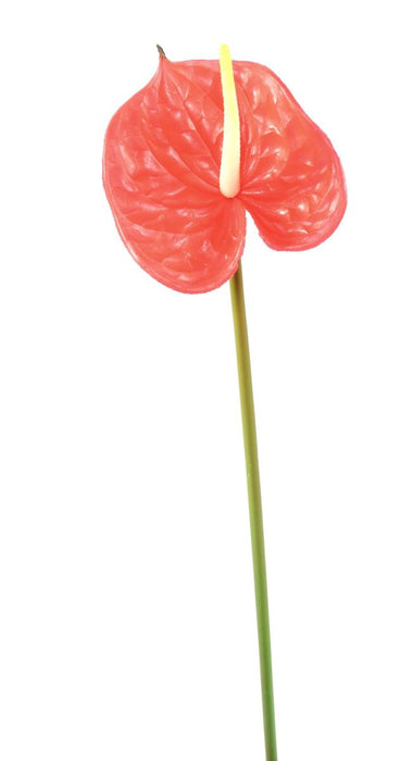 Fiore Artificiale Anthurium Rosso H.58Cm Decorazione