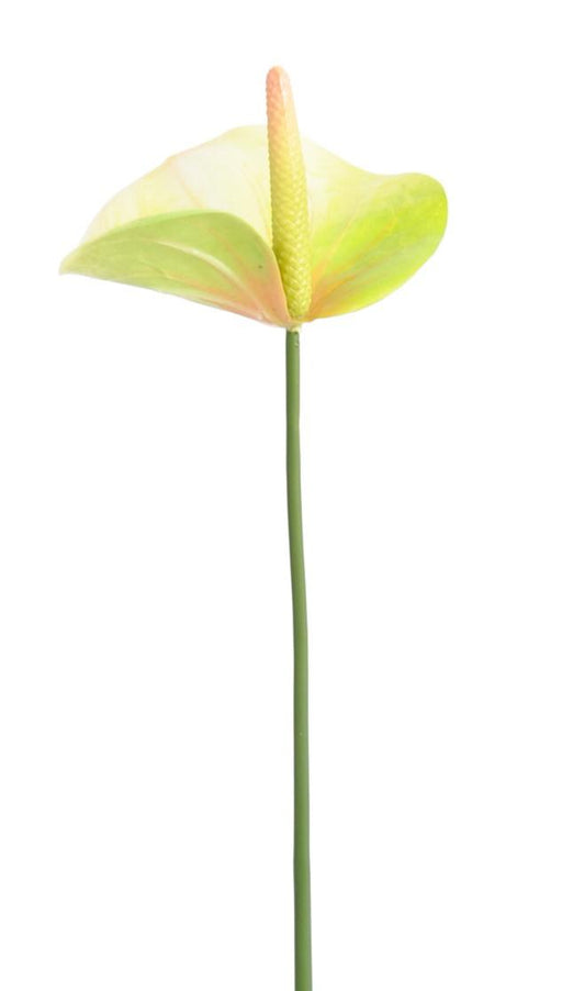 Fiore Artificiale Anthurium Verde 60Cm Decorazione