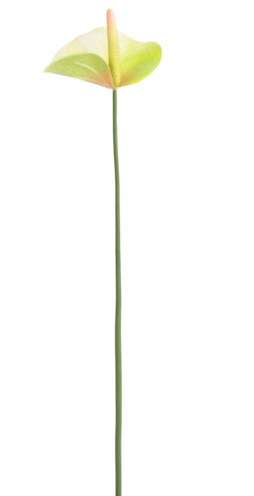 Fiore Artificiale Anthurium Verde 60Cm Decorazione