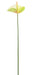 Fiore Artificiale Anthurium Verde 60Cm Decorazione