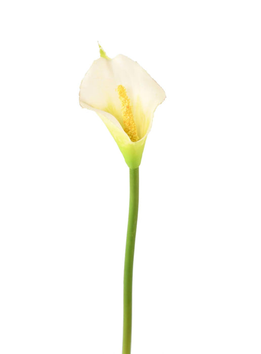 Fiore Artificiale Di Arum Bianco 44 Cm Per La Decorazione D'interni