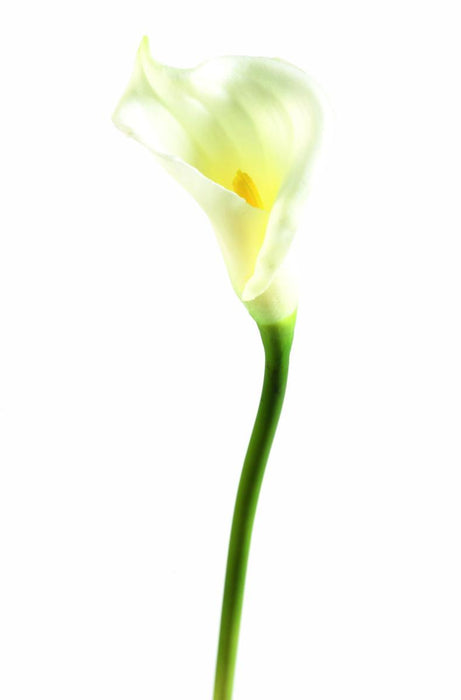Fiore Artificiale Bianco 65 Cm Per La Decorazione