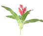 Fiore Artificiale Bromelia Rosso 55Cm Decorazione