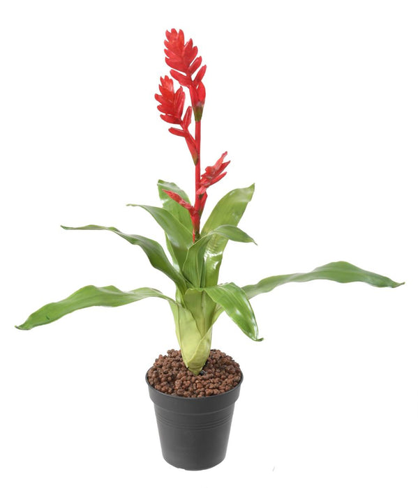 Fiore Artificiale Bromelia Rosso 55Cm Decorazione