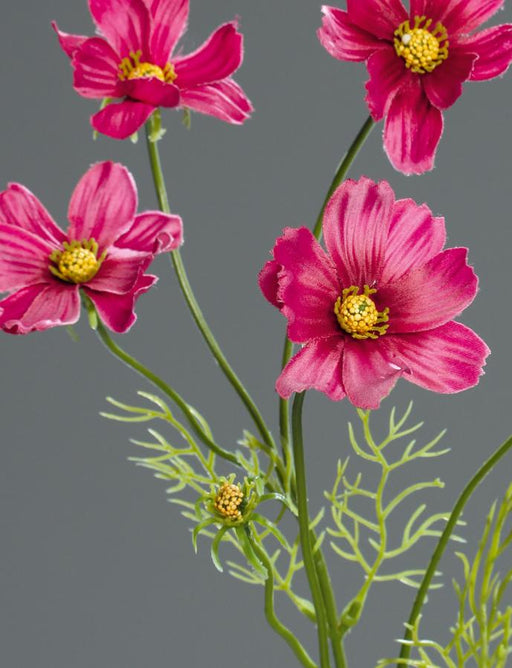 Fiore Artificiale Cosmos Fucsia 67Cm Decorazione Floreale