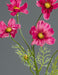 Fiore Artificiale Cosmos Fucsia 67Cm Decorazione Floreale