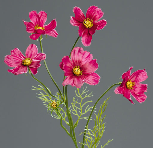 Fiore Artificiale Cosmos Fucsia 67Cm Decorazione Floreale
