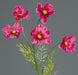 Fiore Artificiale Cosmos Fucsia 67Cm Decorazione Floreale