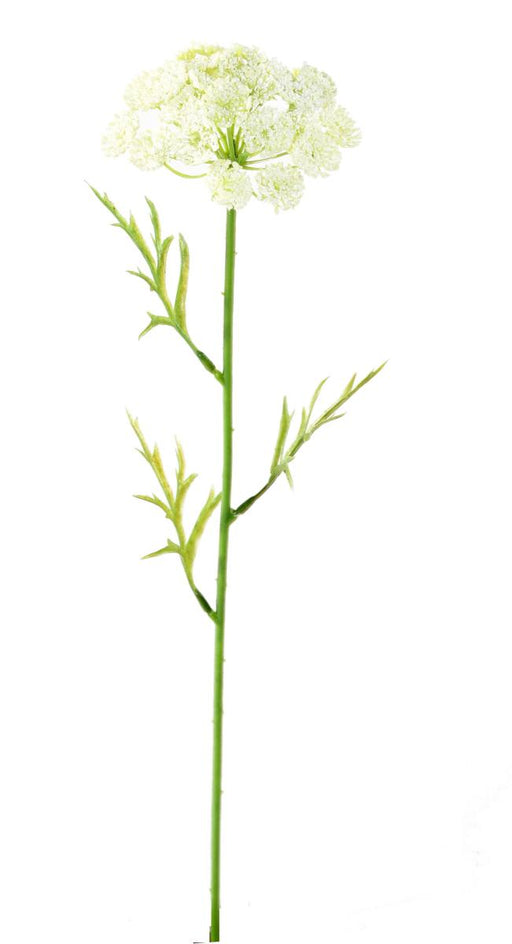 Fiore Artificiale Daucus Bianco 55Cm Per Decorazione
