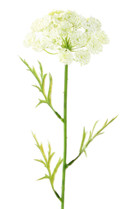 Fiore Artificiale Daucus Bianco 55Cm Per Decorazione