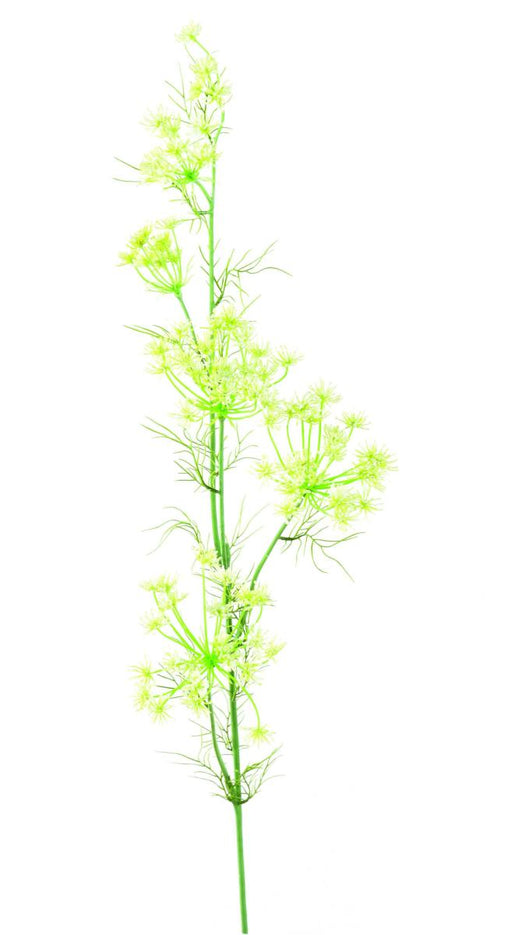 Fiore Artificiale Daucus Carota 120Cm Bianco Per Interni