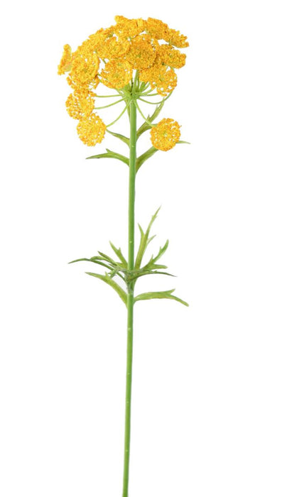 Fiore Artificiale Daucus Giallo H. 55Cm Decorazione Interni