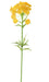 Fiore Artificiale Daucus Giallo H. 55Cm Decorazione Interni