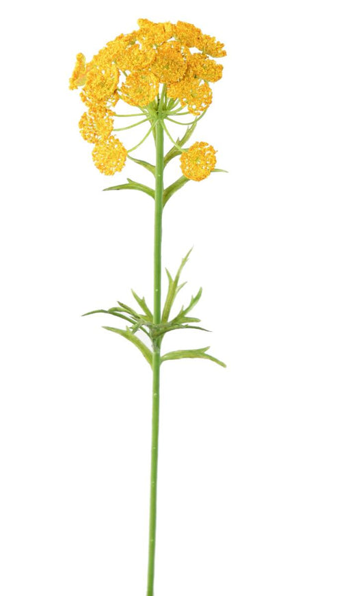 Fiore Artificiale Daucus Giallo H. 55Cm Decorazione Interni