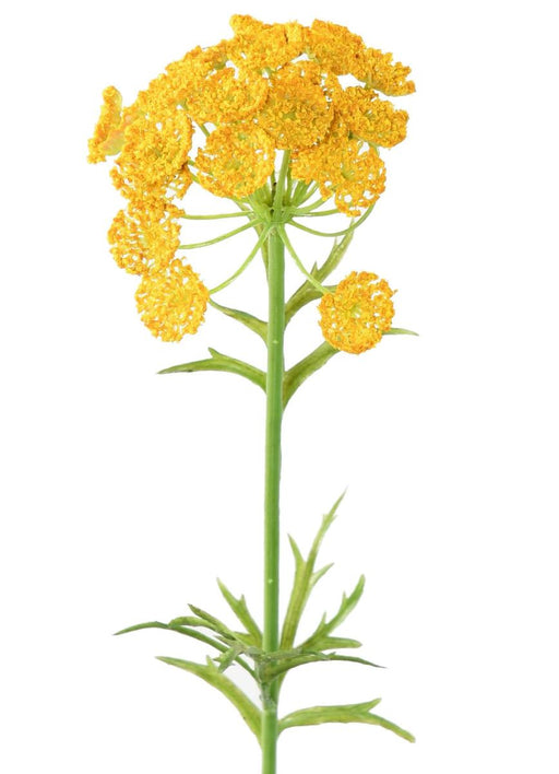 Fiore Artificiale Daucus Giallo H. 55Cm Decorazione Interni