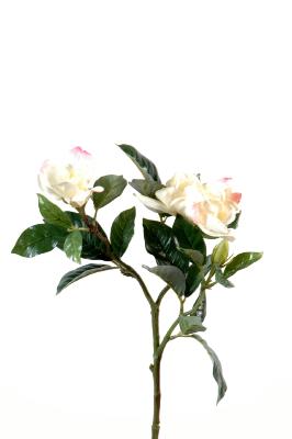 Fiore Artificiale Gardenia Crema Rosa 65Cm