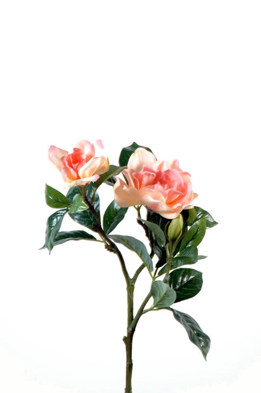 Fiore Artificiale Gardenia Pesca 65Cm Decorazione Interni