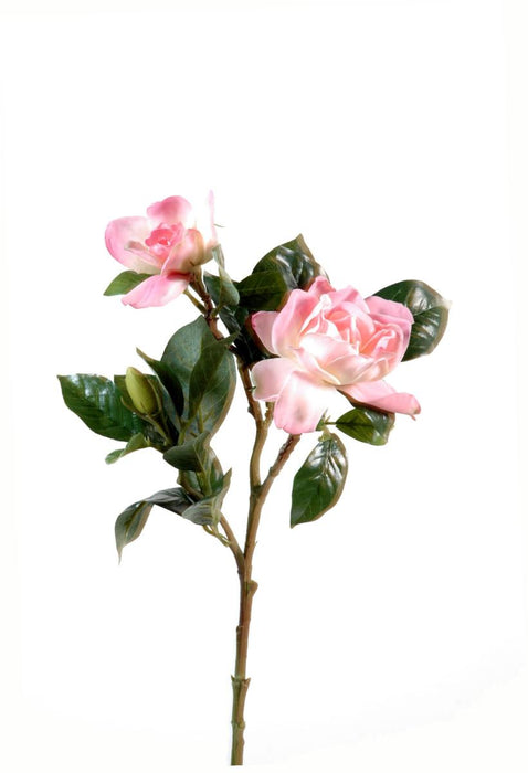 Fiore Artificiale Gardenia Rosa 65Cm Decorazione Interni