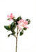 Fiore Artificiale Gardenia Rosa 65Cm Decorazione Interni