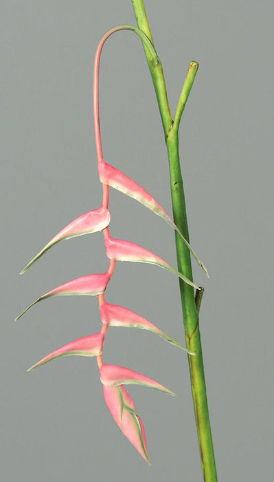 Fiore Artificiale Heliconia Pendula Rosa 116Cm