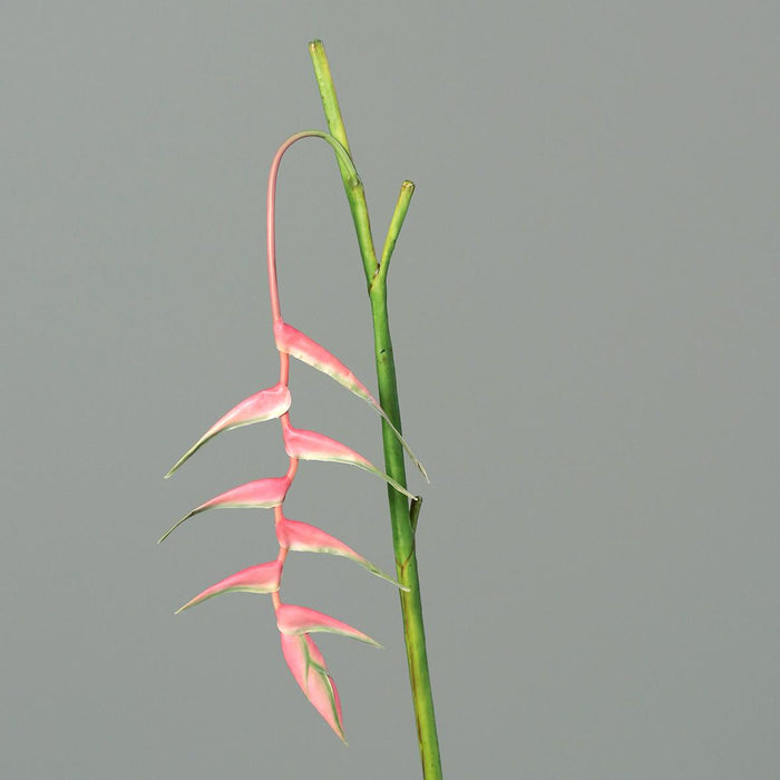 Fiore Artificiale Heliconia Pendula Rosa 116Cm