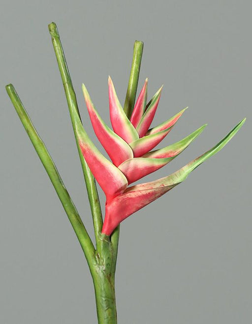 Fiore Artificiale Heliconia Rosa 126 Cm Bellissimo Arredamento