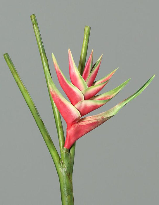 Fiore Artificiale Heliconia Rosa 126 Cm Bellissimo Arredamento