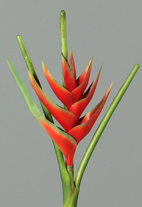 Fiore Artificiale Heliconia Rosso 126Cm Decorazione Tropicale