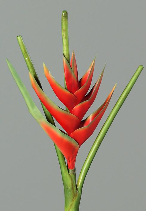Fiore Artificiale Heliconia Rosso 126Cm Decorazione Tropicale