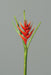 Fiore Artificiale Heliconia Rosso 126Cm Decorazione Tropicale