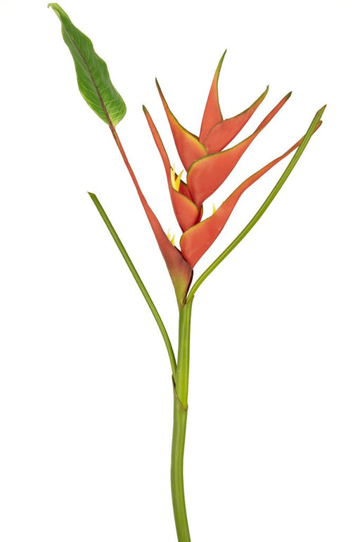 Fiore Artificiale Heliconia Rosso
