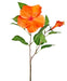 Fiore Artificiale Di Ibisco Arancione