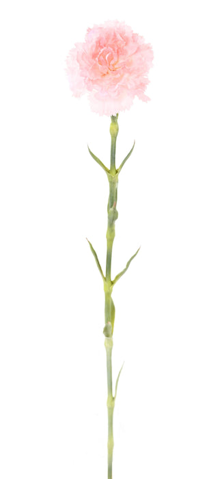 Fiore Artificiale Garofano Rosa H.55Cm Per Bouquet