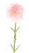 Fiore Artificiale Garofano Rosa H.55Cm Per Bouquet