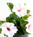 Fiore Artificiale Petunia 4 Fiori 25Cm Bianco Rosa