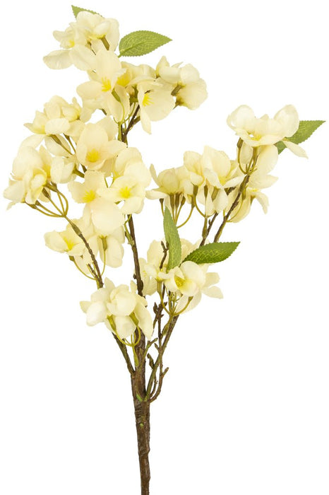 Saga Dei Fiori Artificiali