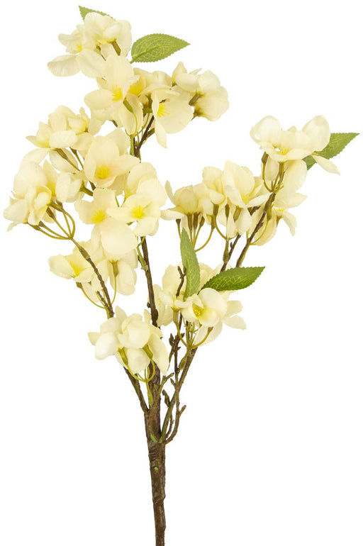 Saga Dei Fiori Artificiali