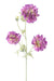Fiore Artificiale Scabious Viola 75 Cm Gambo Decorativo