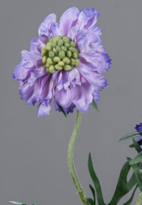 Fiore Artificiale Scabiosa Lavanda 55Cm Stelo Armato