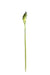 Aroma Fiore Artificiale Verde 90 Cm Bouquet Decorativo