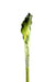 Aroma Fiore Artificiale Verde 90 Cm Bouquet Decorativo