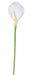 Fiore Arum Artificiale 78 Cm Bianco Per Decorazione