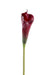 Fiore Calla Artificiale Rosso Marrone 80 Cm